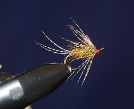 Brown-Hackle-Peacock-Fly - American AnglerAmerican Angler